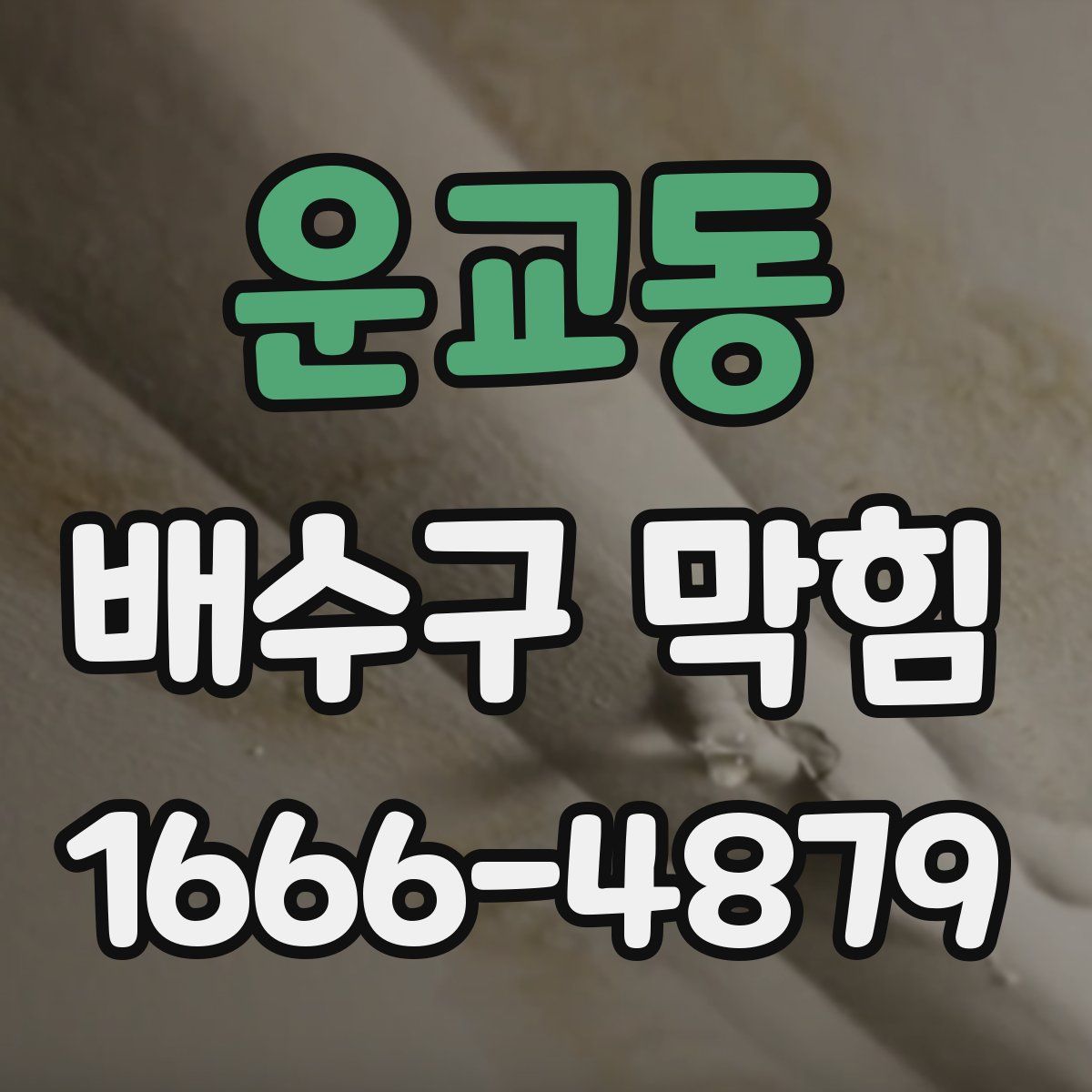 운교동 배수구 막힘