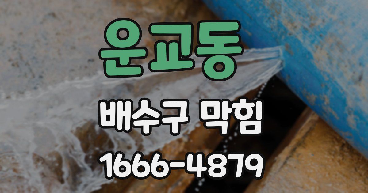 운교동 배수구 막힘