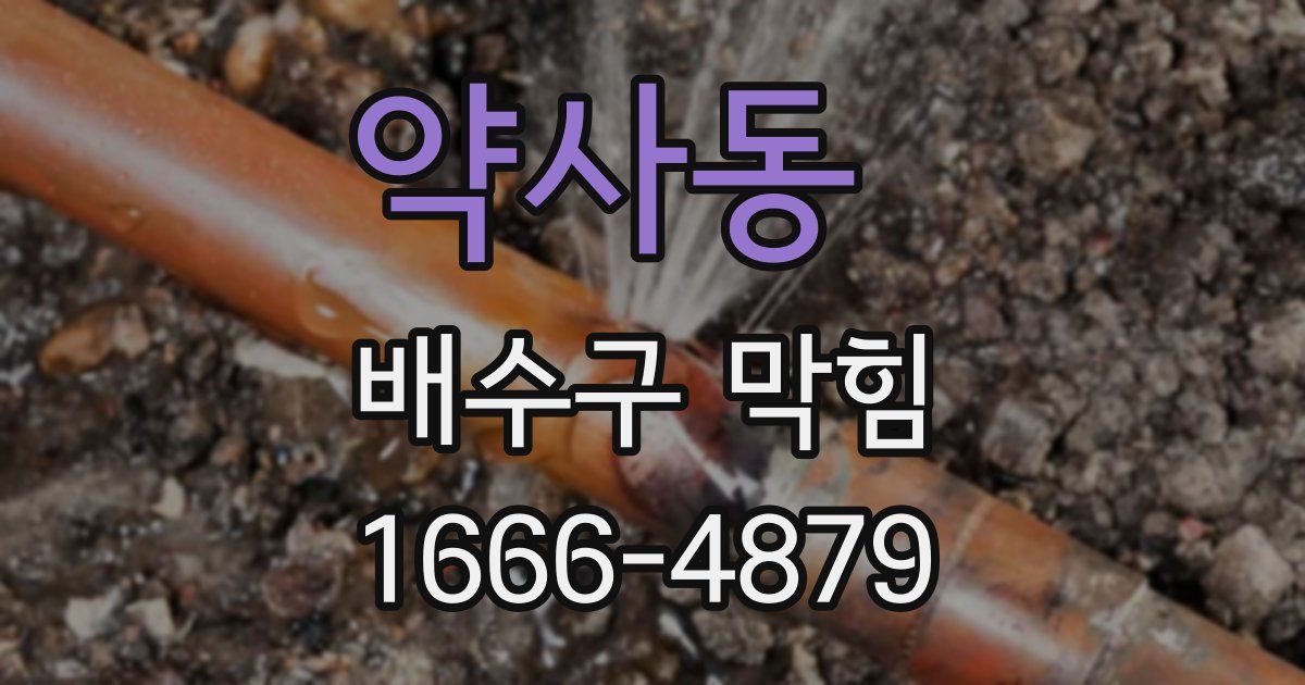 약사동 배수구 막힘