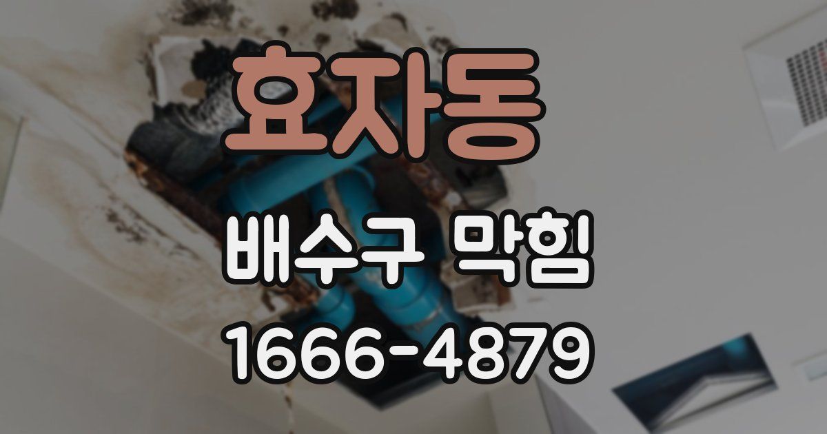 효자동 배수구 막힘