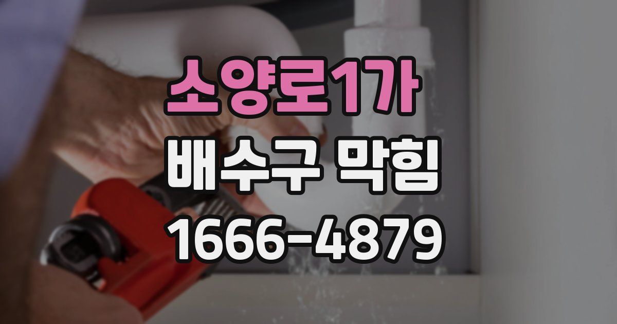 소양로1가 배수구 막힘