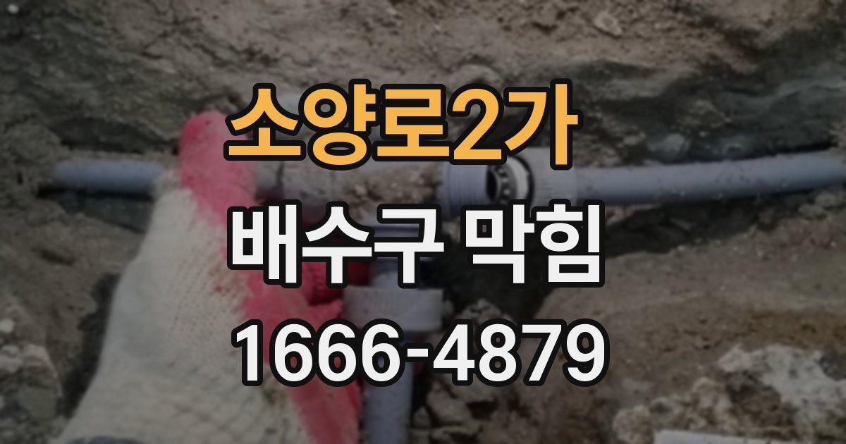 소양로2가 배수구 막힘