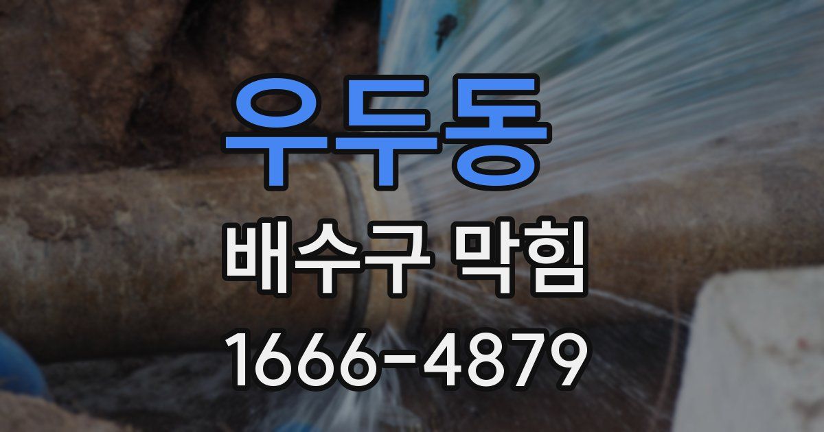우두동 배수구 막힘