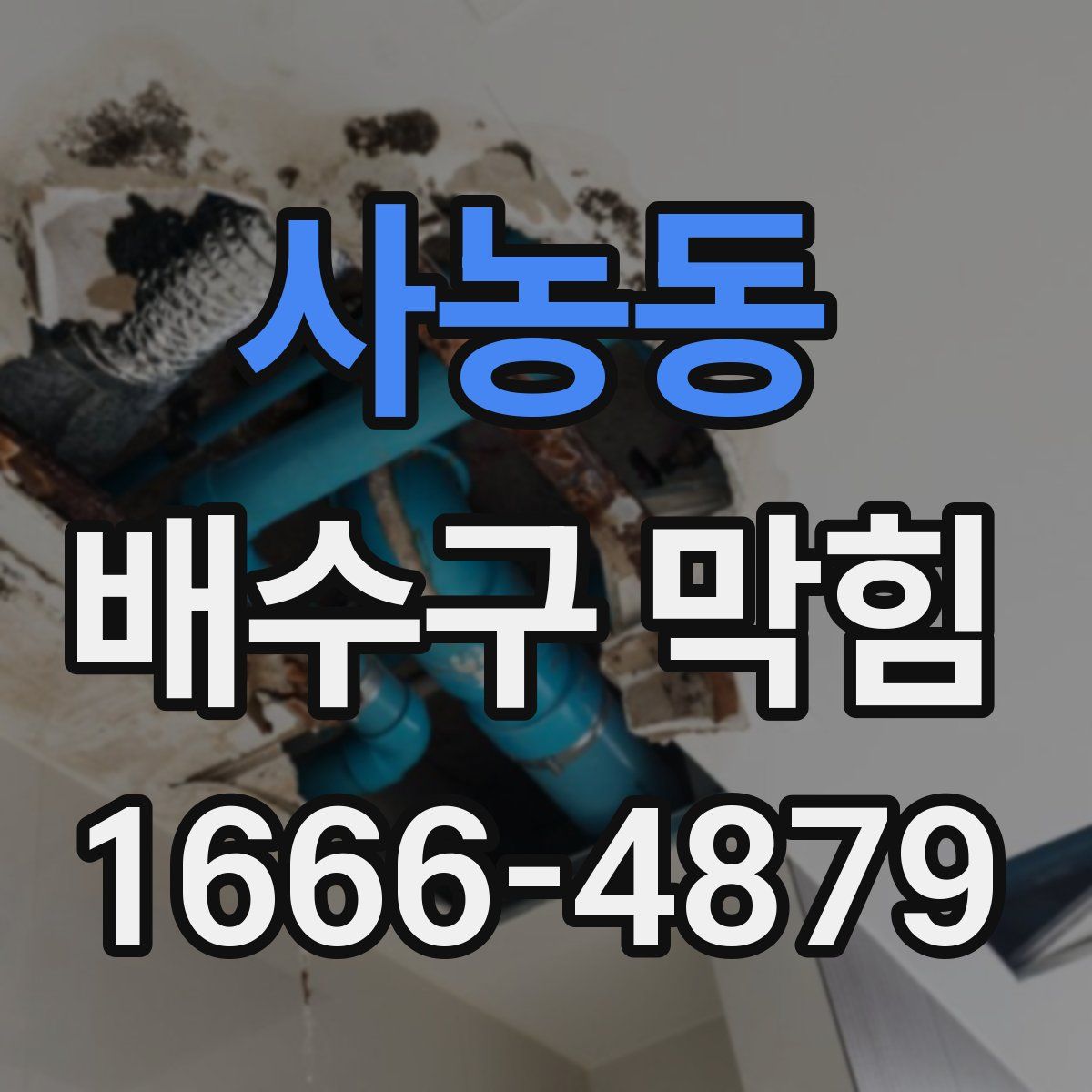 사농동 배수구 막힘