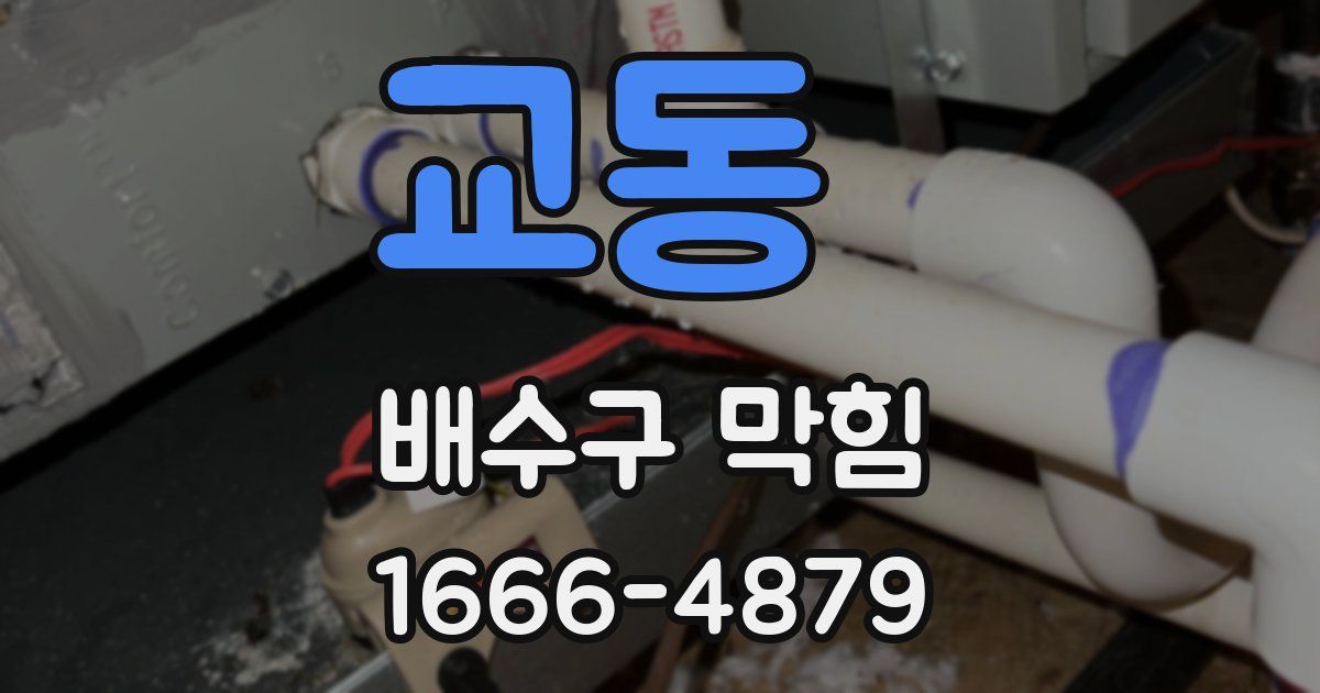 교동 배수구 막힘