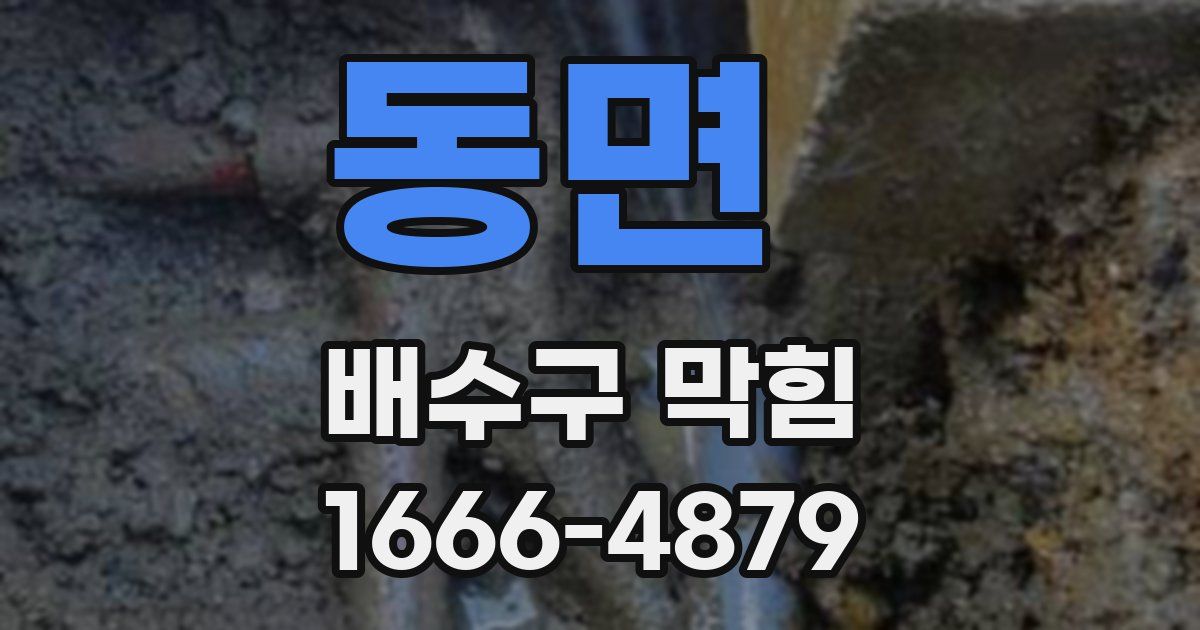동면 배수구 막힘