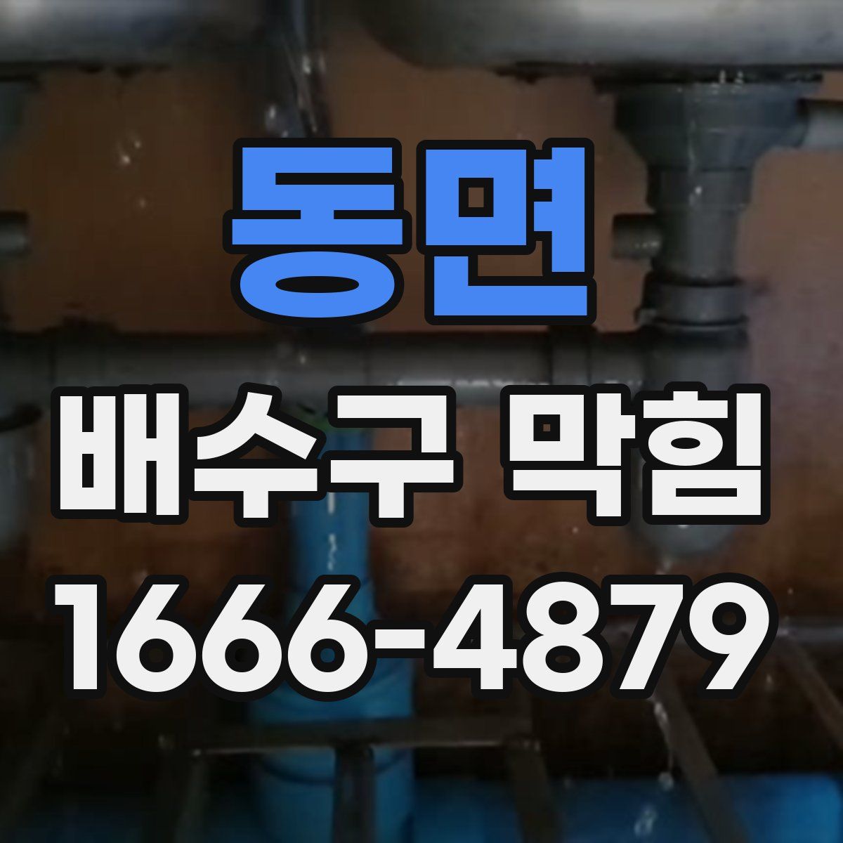 동면 배수구 막힘