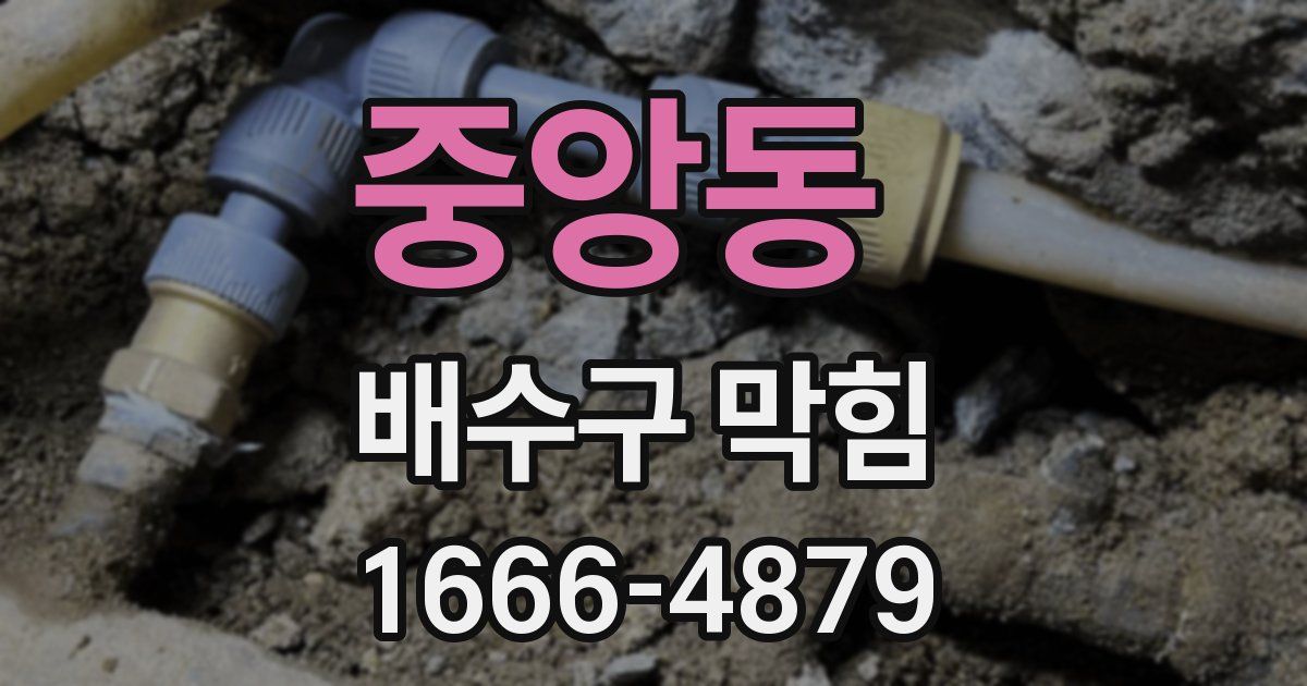 중앙동 배수구 막힘
