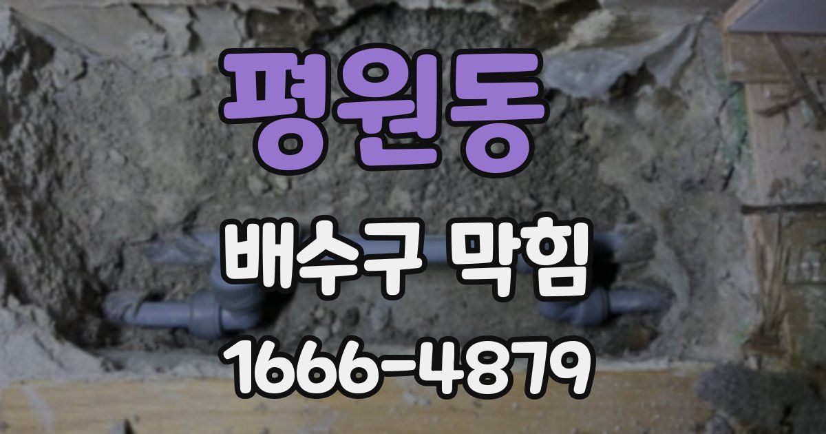 평원동 배수구 막힘