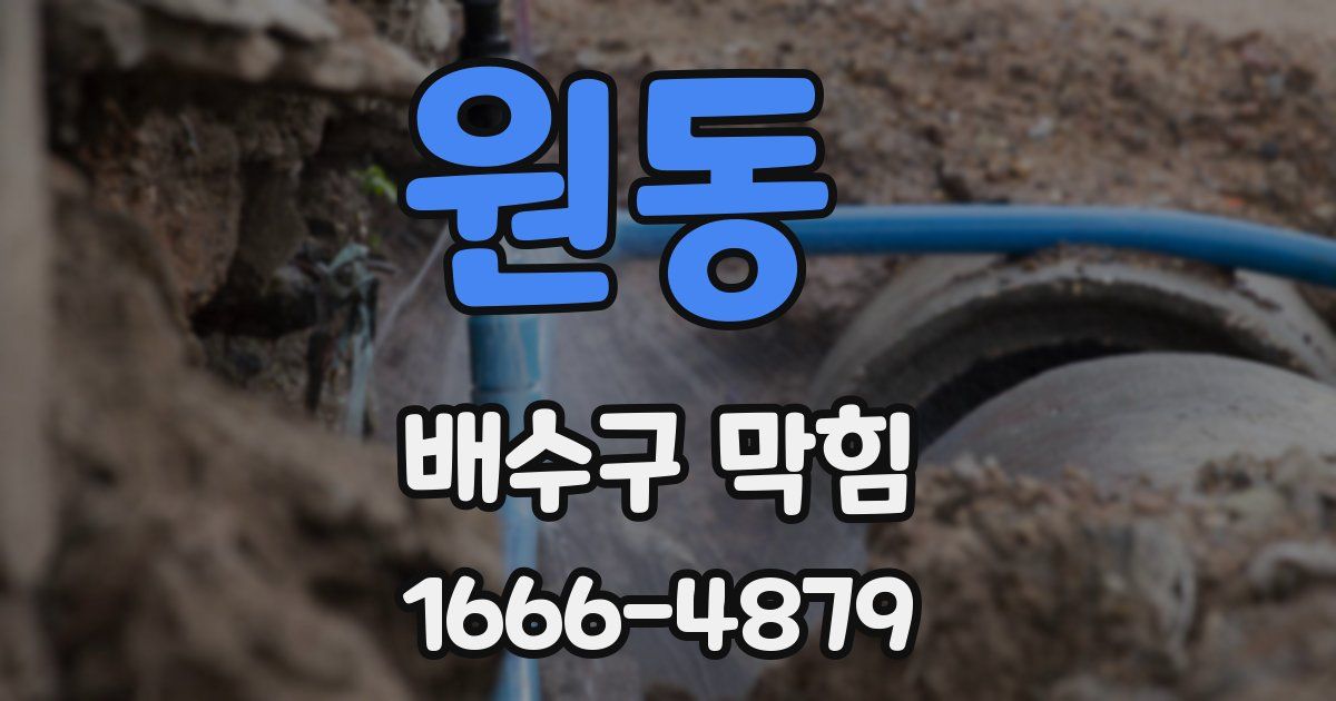 원동 배수구 막힘