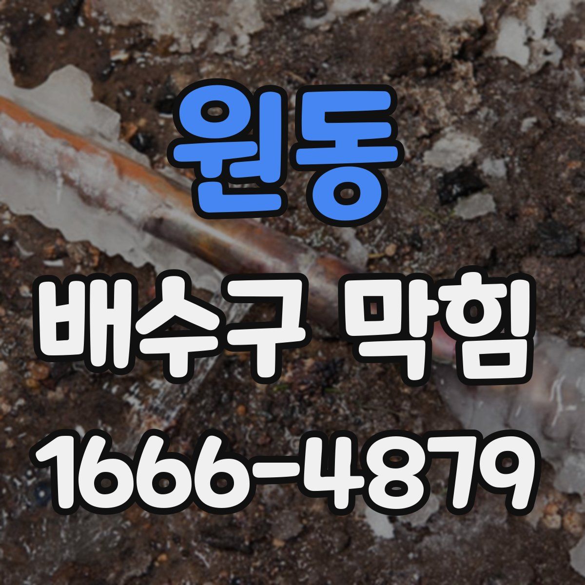원동 배수구 막힘