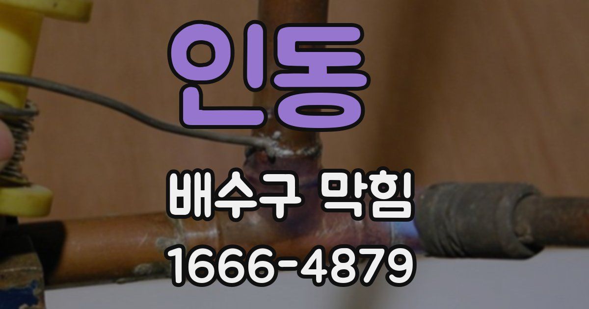 인동 배수구 막힘