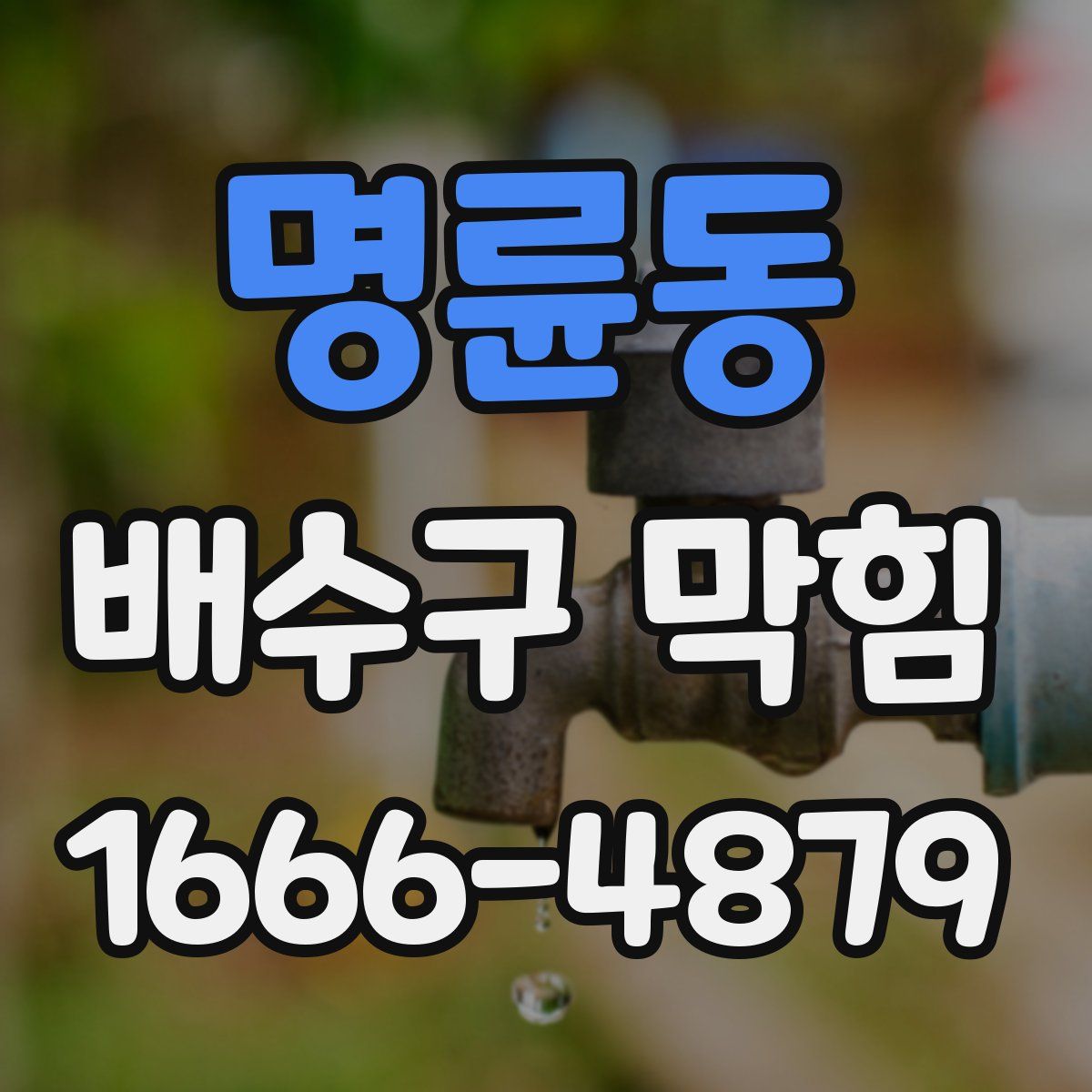 명륜동 배수구 막힘