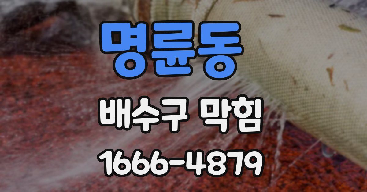 명륜동 배수구 막힘