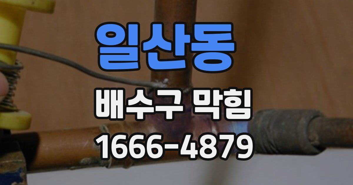 일산동 배수구 막힘