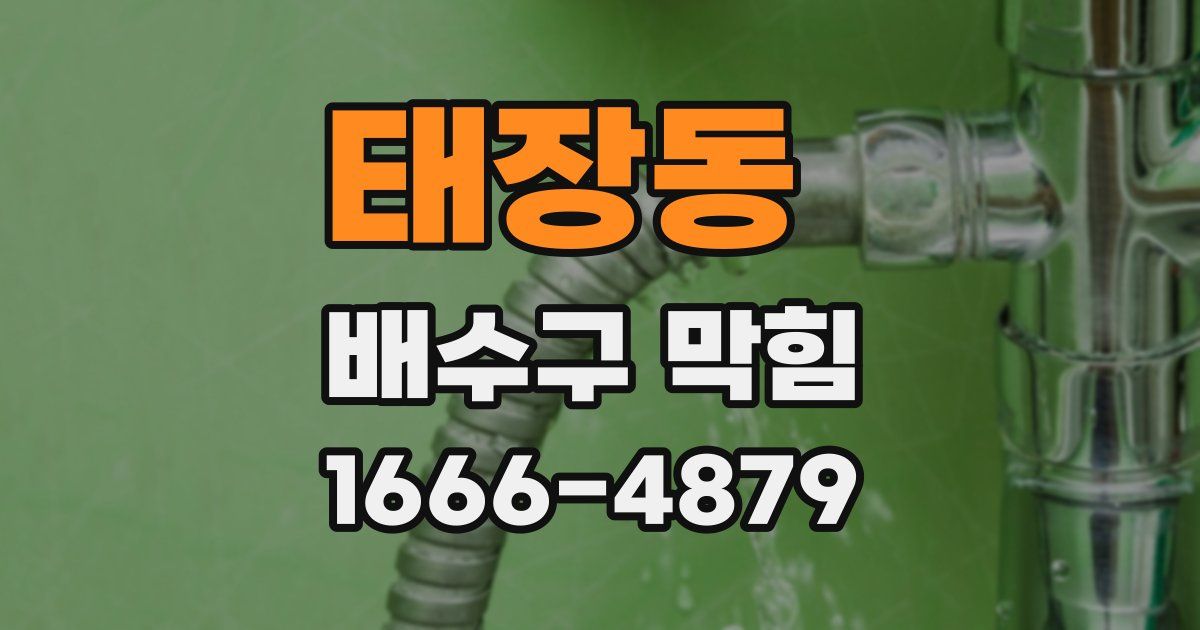 태장동 배수구 막힘