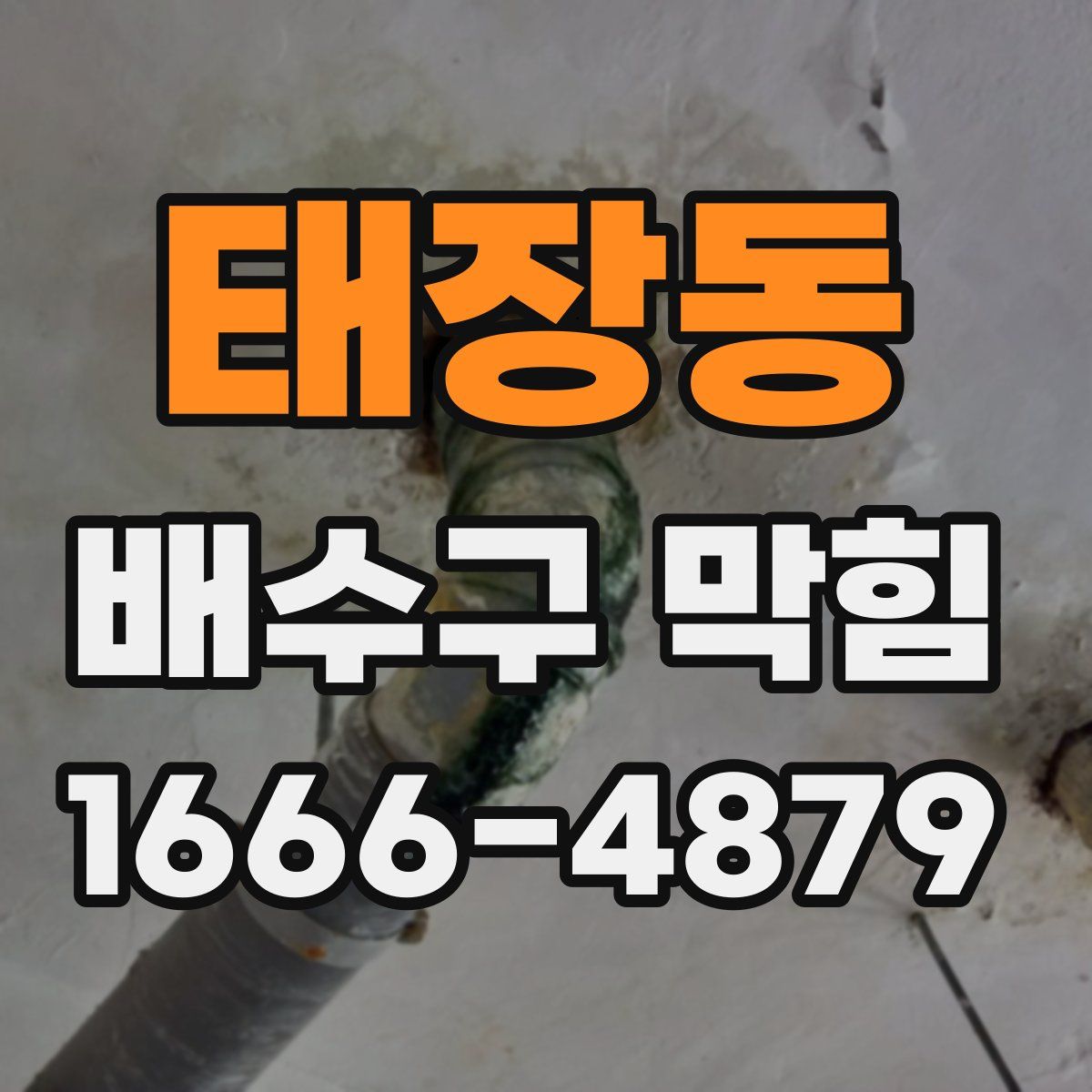 태장동 배수구 막힘