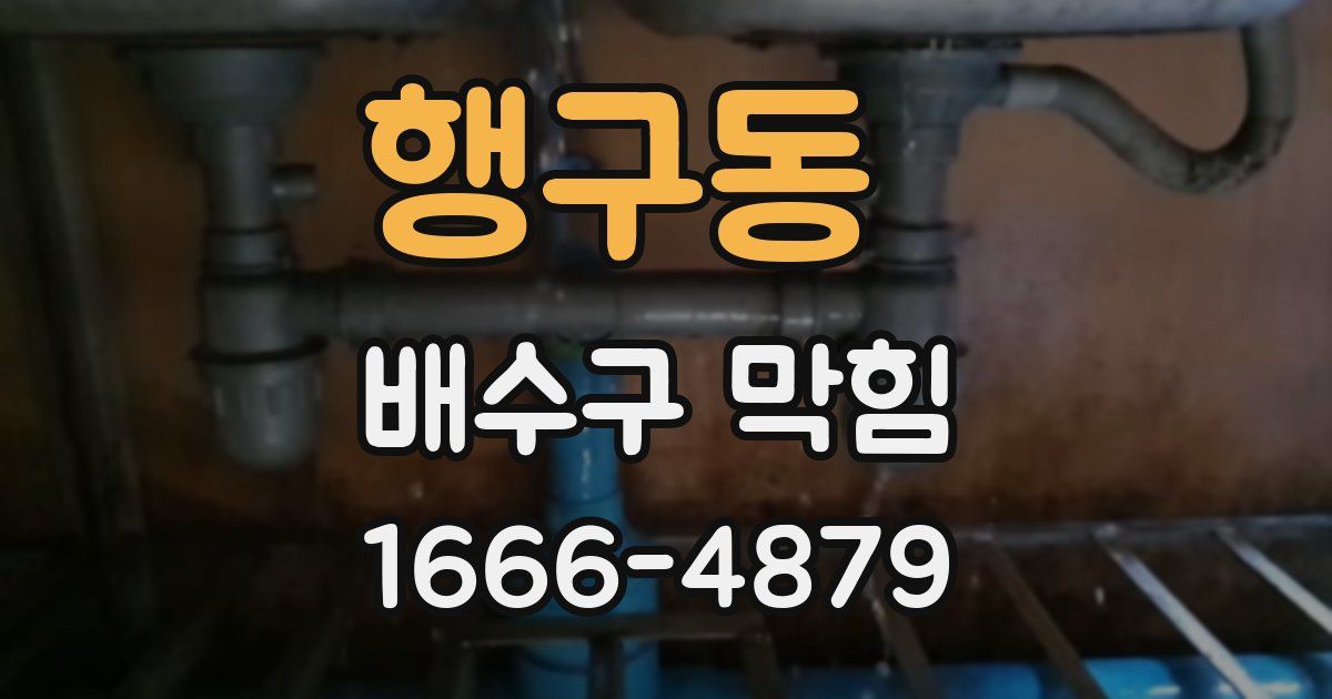 행구동 배수구 막힘