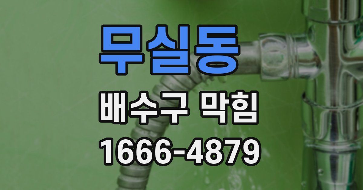 무실동 배수구 막힘