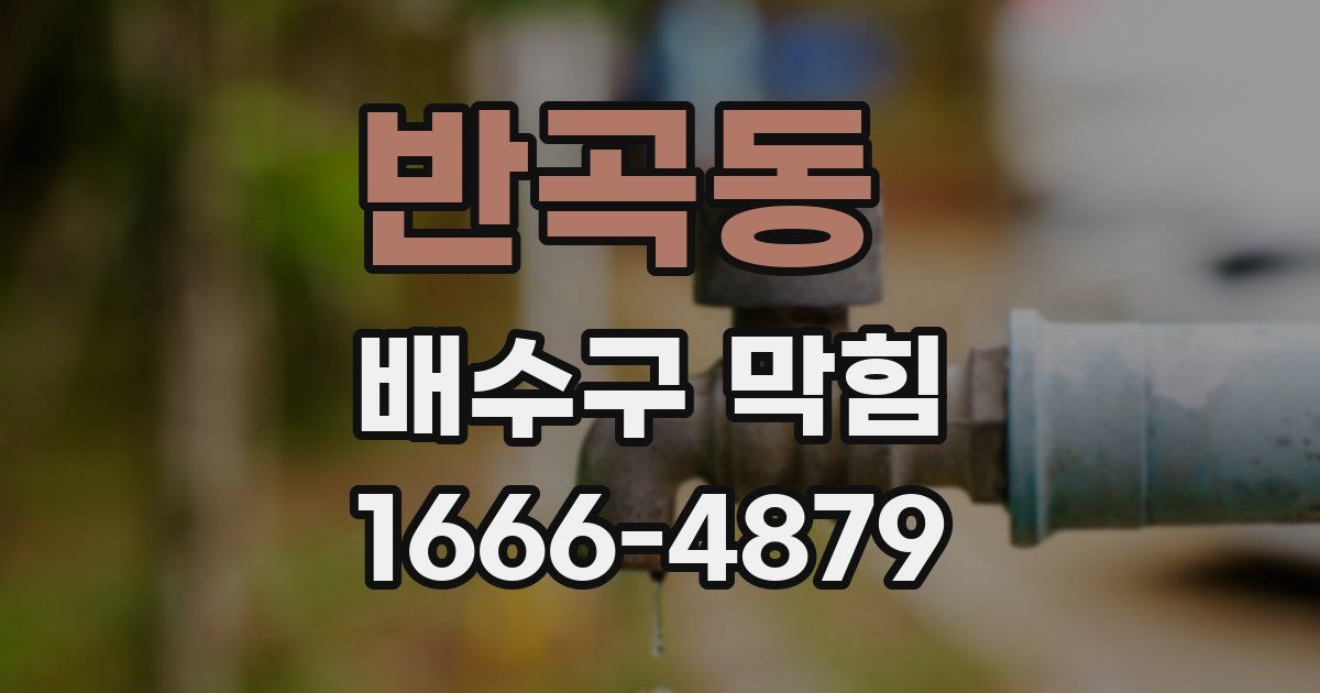 반곡동 배수구 막힘