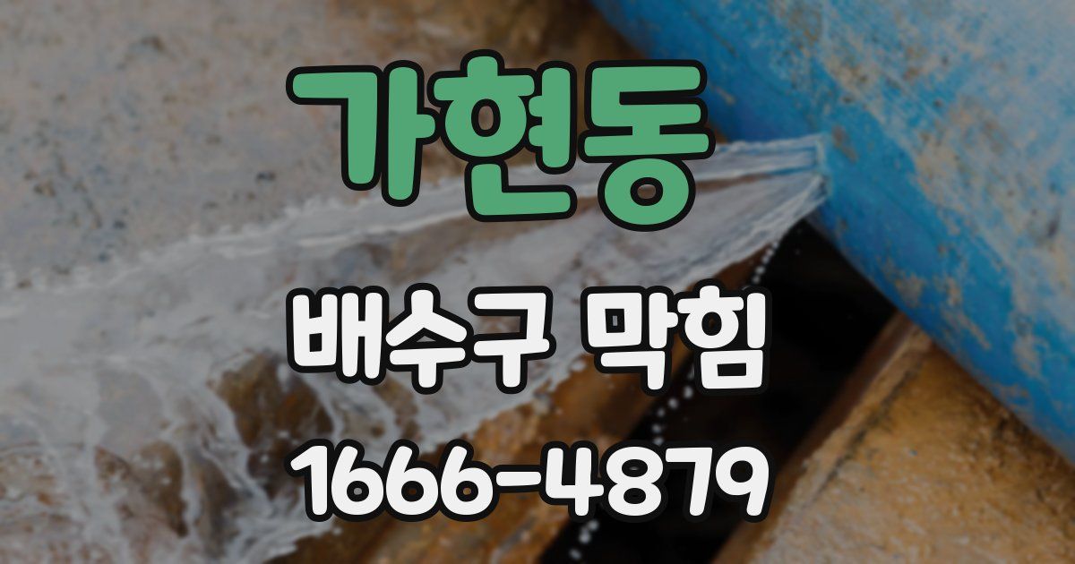 가현동 배수구 막힘