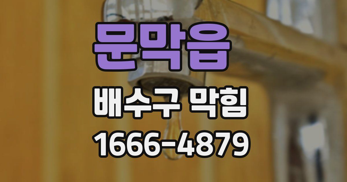 문막읍 배수구 막힘
