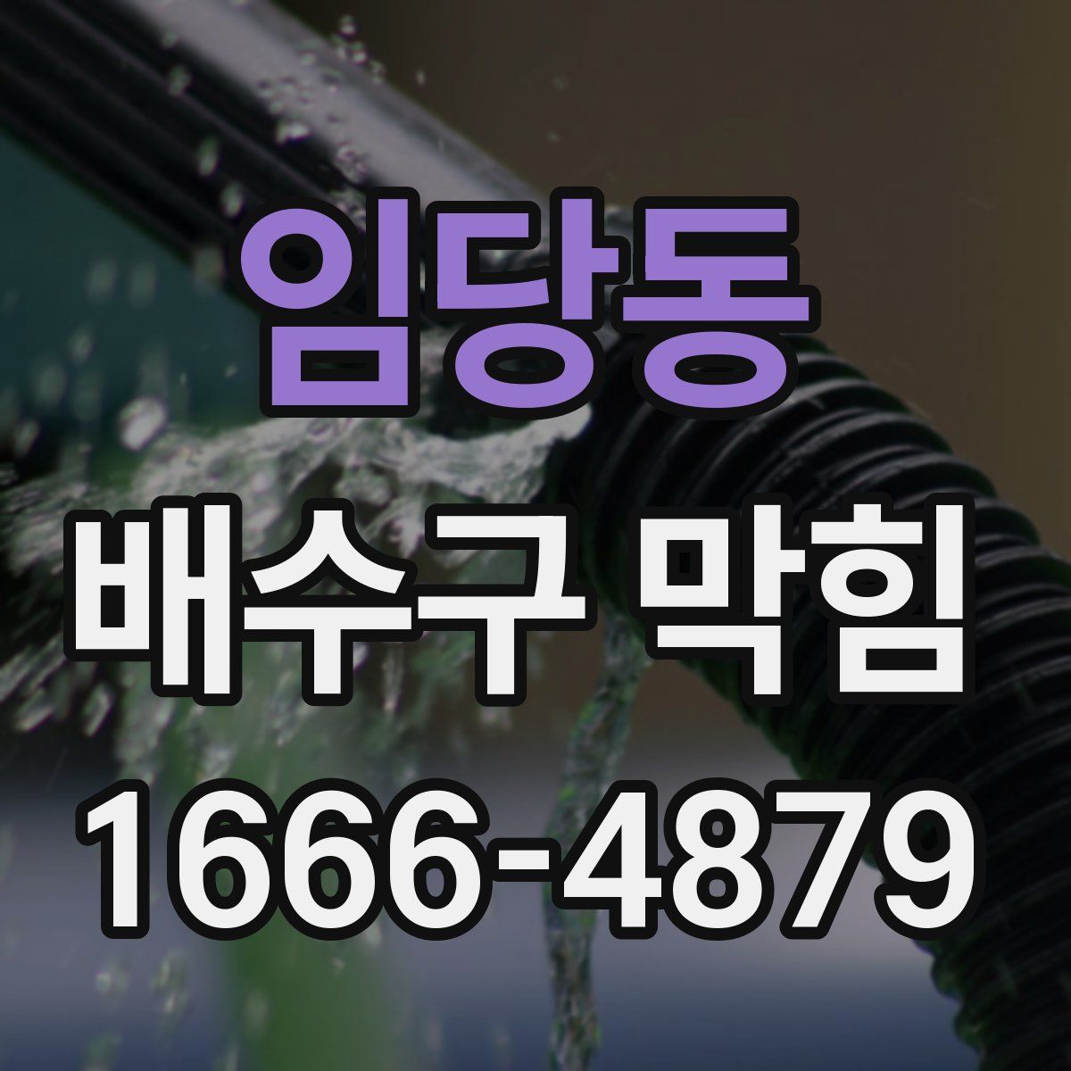 임당동 배수구 막힘