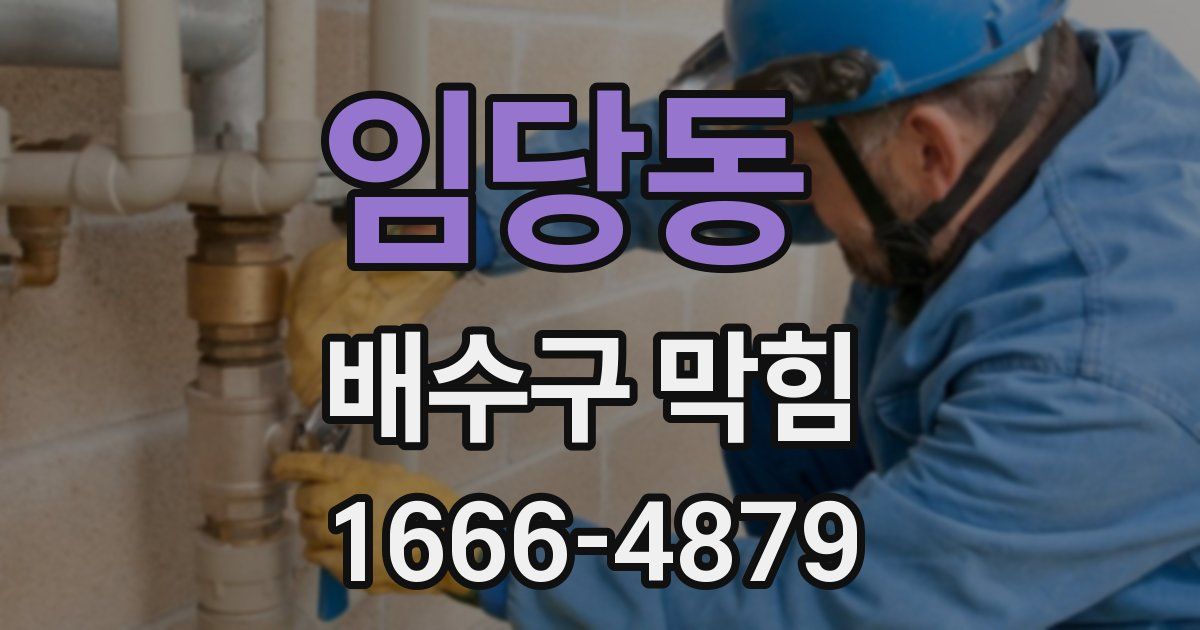 임당동 배수구 막힘