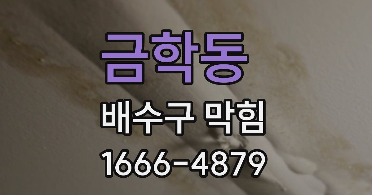 금학동 배수구 막힘