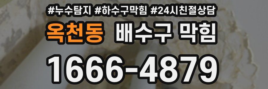 옥천동 배수구 막힘