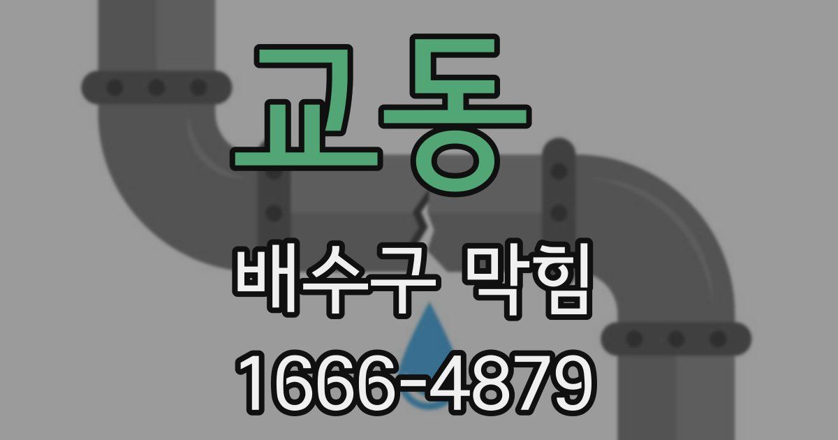 교동 배수구 막힘