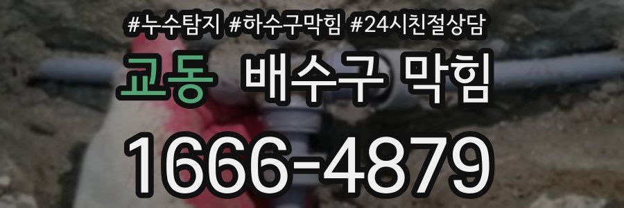 교동 배수구 막힘