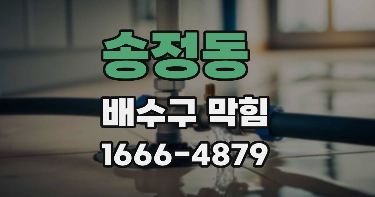송정동 배수구 막힘