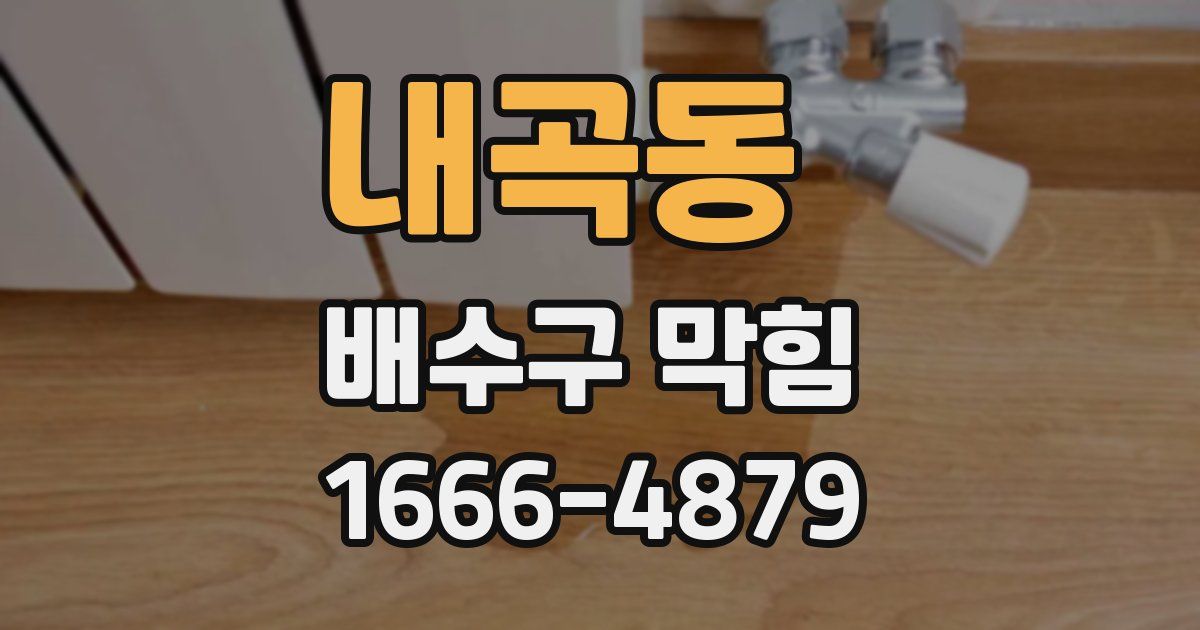 내곡동 배수구 막힘