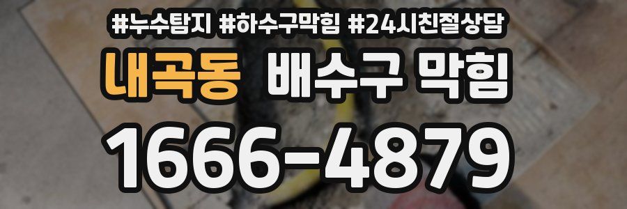 내곡동 배수구 막힘