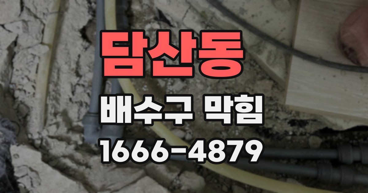 담산동 배수구 막힘