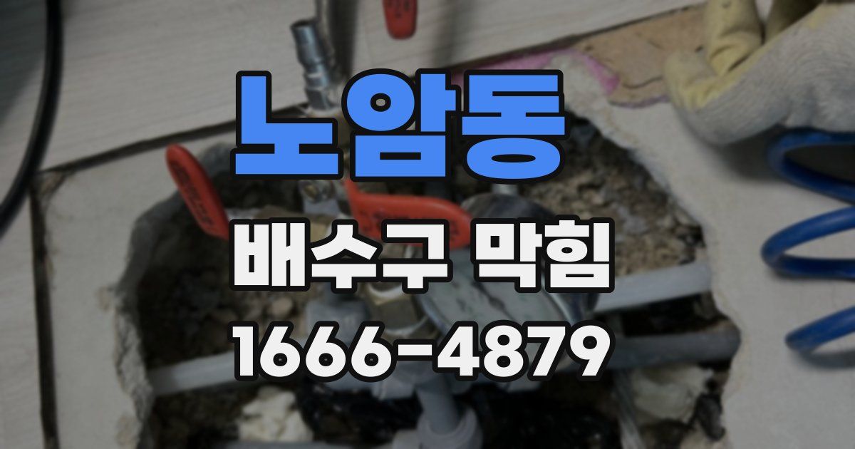 노암동 배수구 막힘