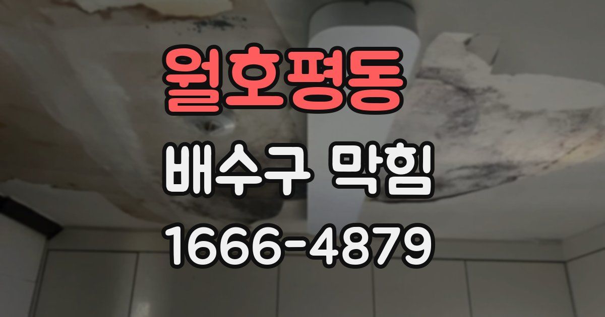 월호평동 배수구 막힘