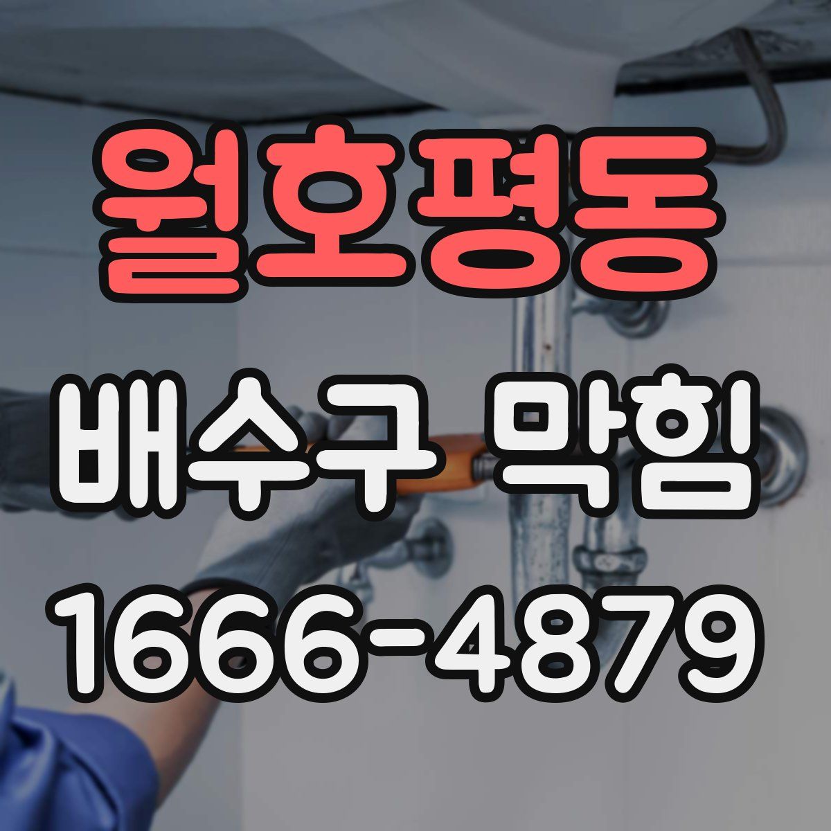 월호평동 배수구 막힘