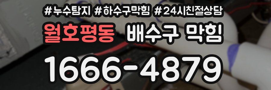 월호평동 배수구 막힘