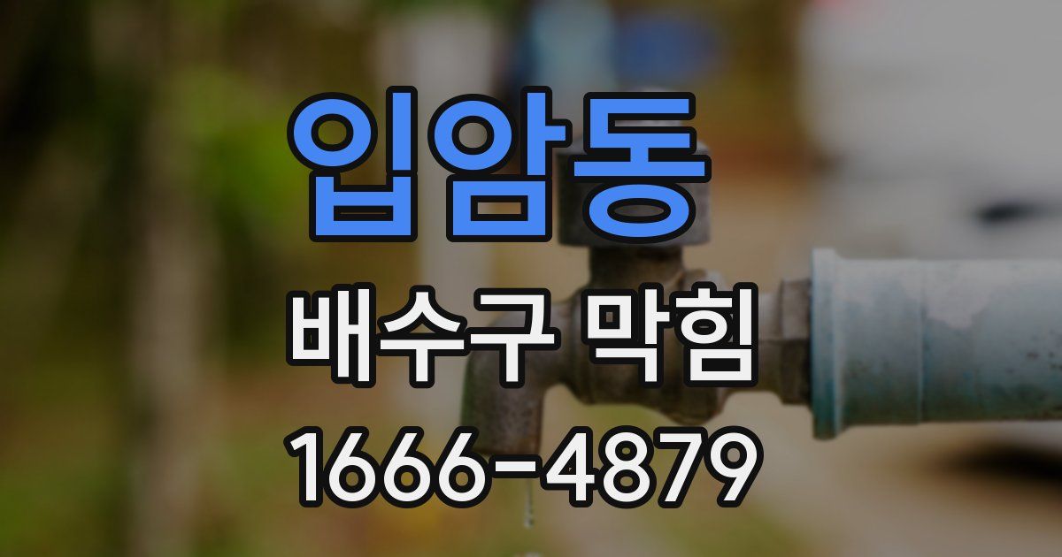입암동 배수구 막힘