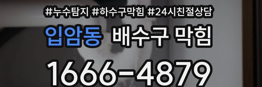 입암동 배수구 막힘