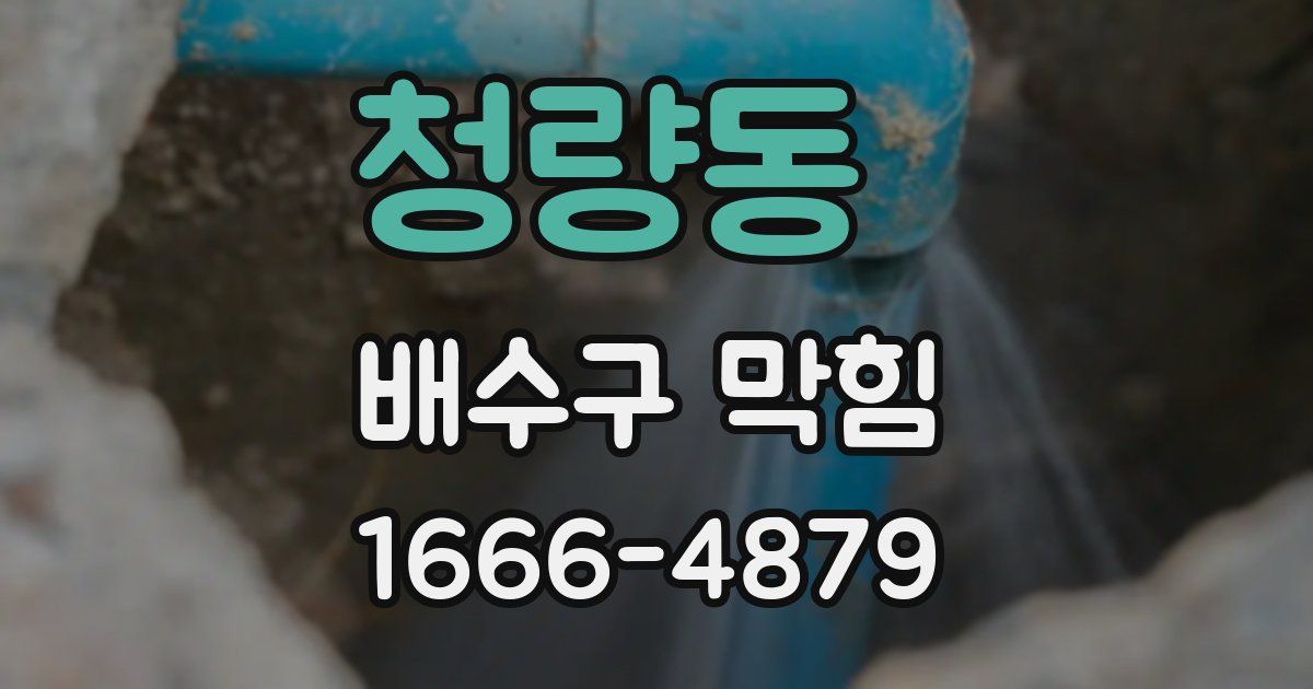청량동 배수구 막힘