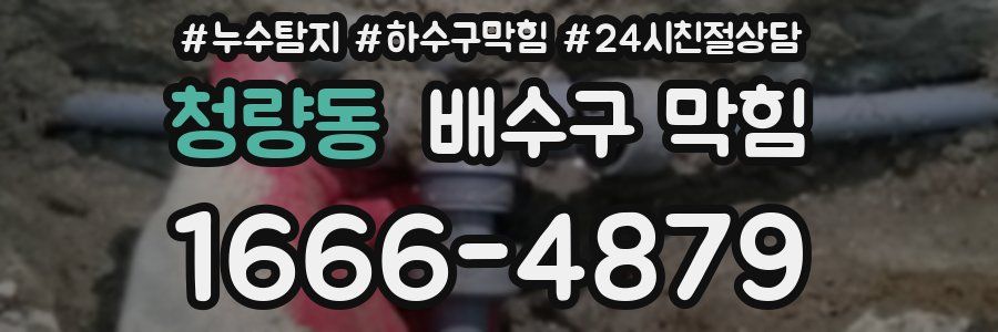 청량동 배수구 막힘