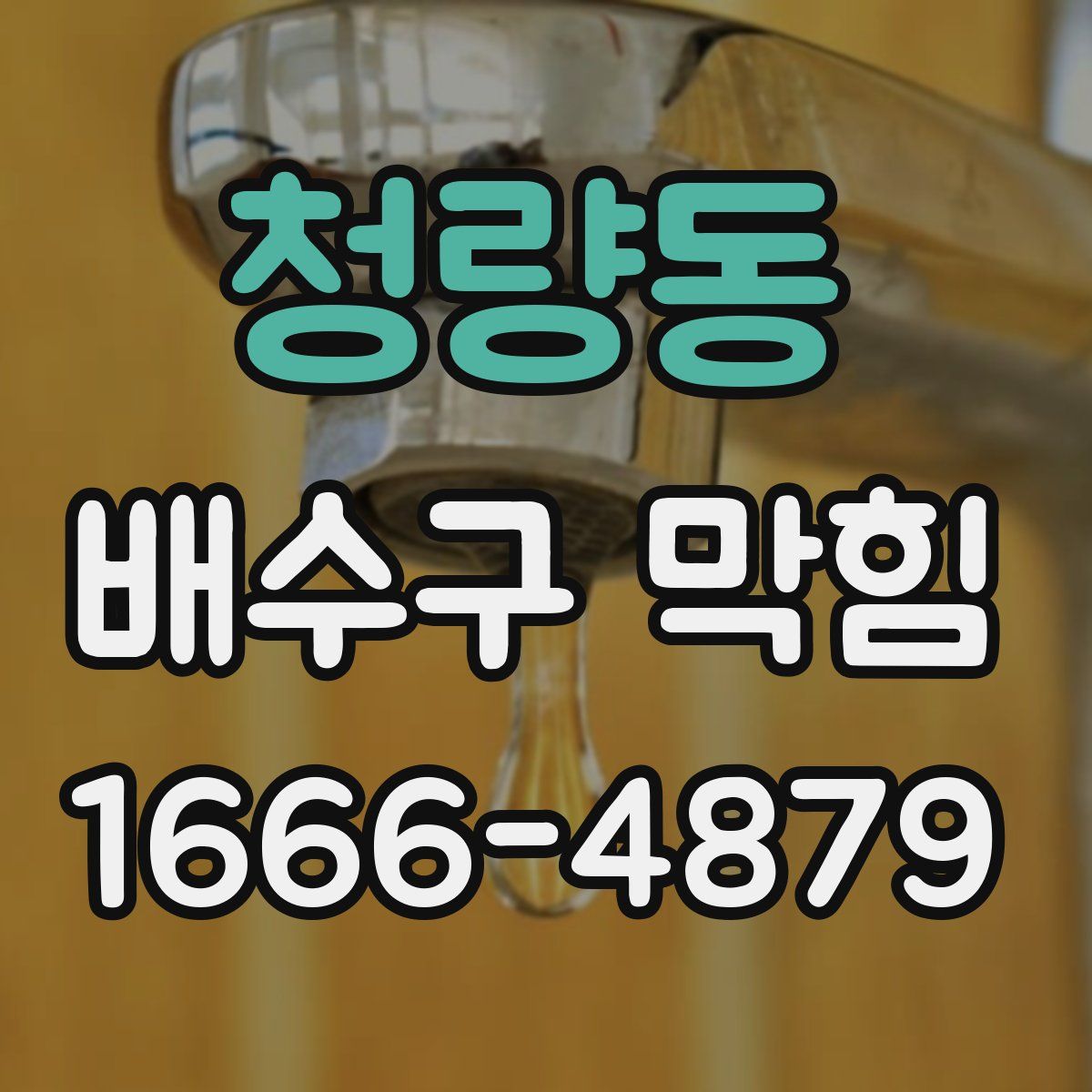 청량동 배수구 막힘