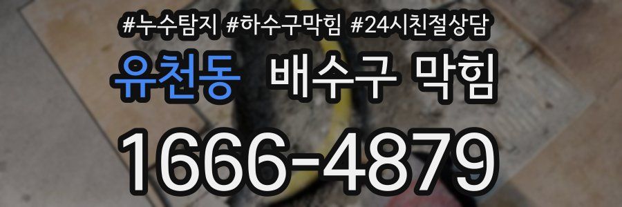 유천동 배수구 막힘