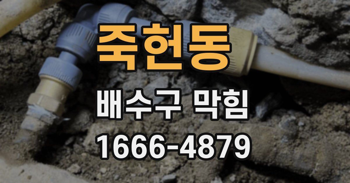 죽헌동 배수구 막힘