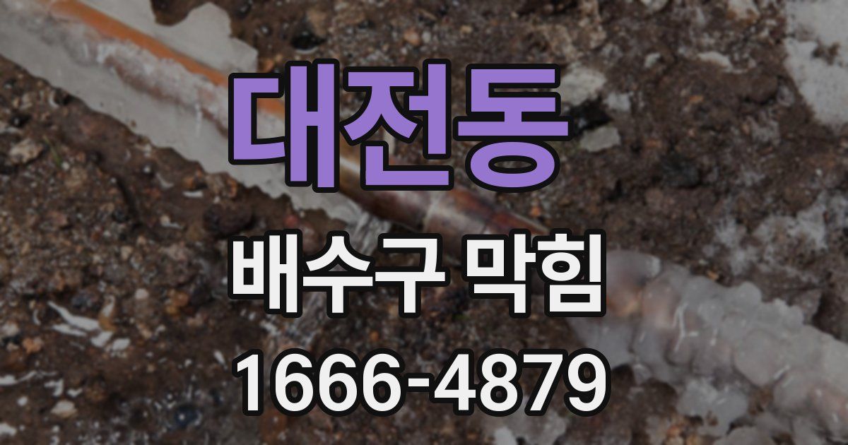 대전동 배수구 막힘