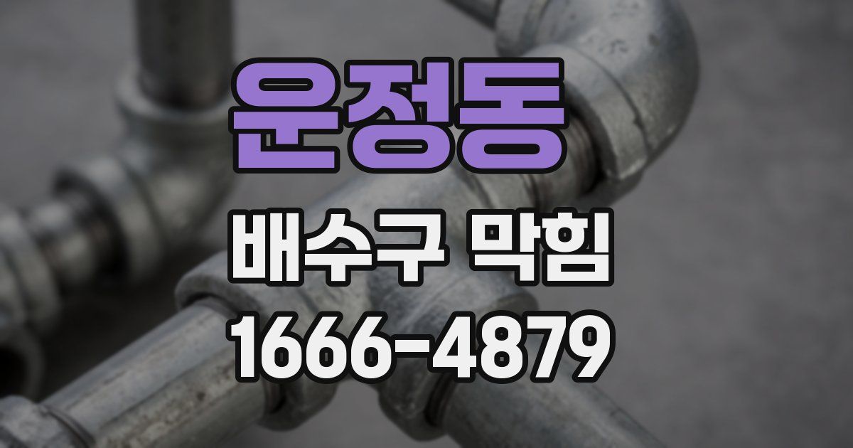 운정동 배수구 막힘