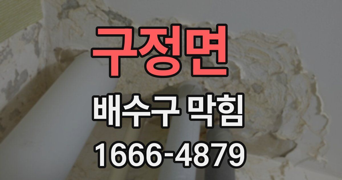 구정면 배수구 막힘